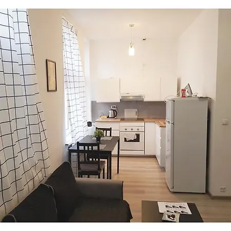 アパート Souvenirappart Wilenska 9 ビィドゴシュチュ