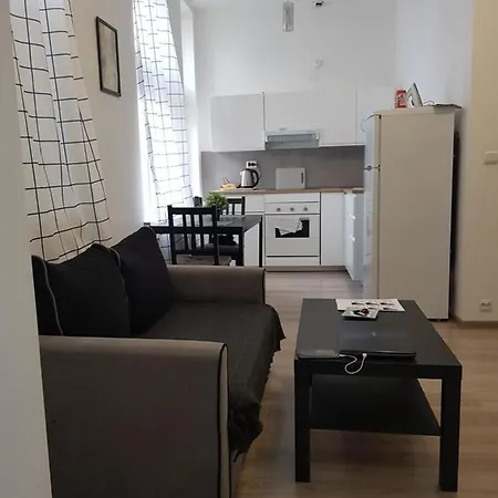 Souvenirappart Wilenska 9 アパート