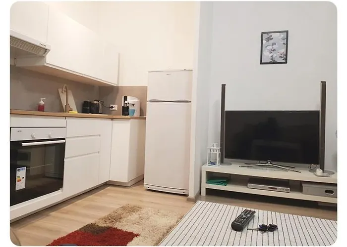 Souvenirappart Wilenska 9 *